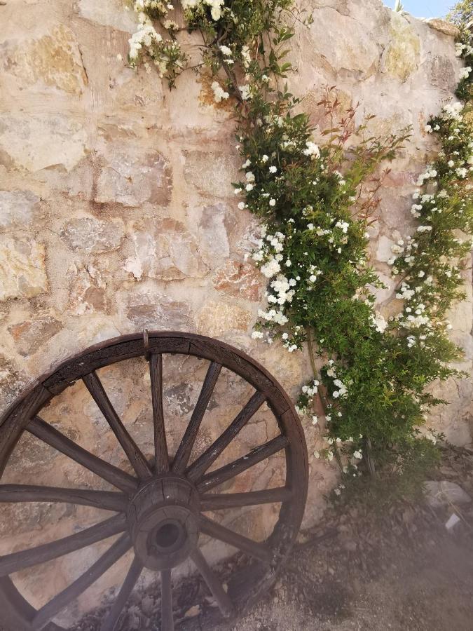 Appartement Jas De Marripey à Les Arcs-sur-Argens Extérieur photo