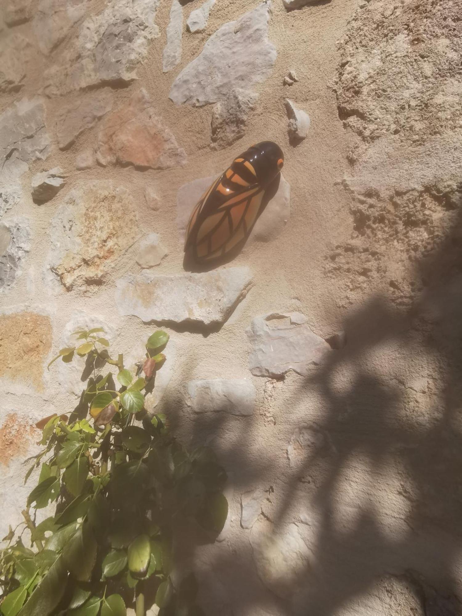 Appartement Jas De Marripey à Les Arcs-sur-Argens Extérieur photo